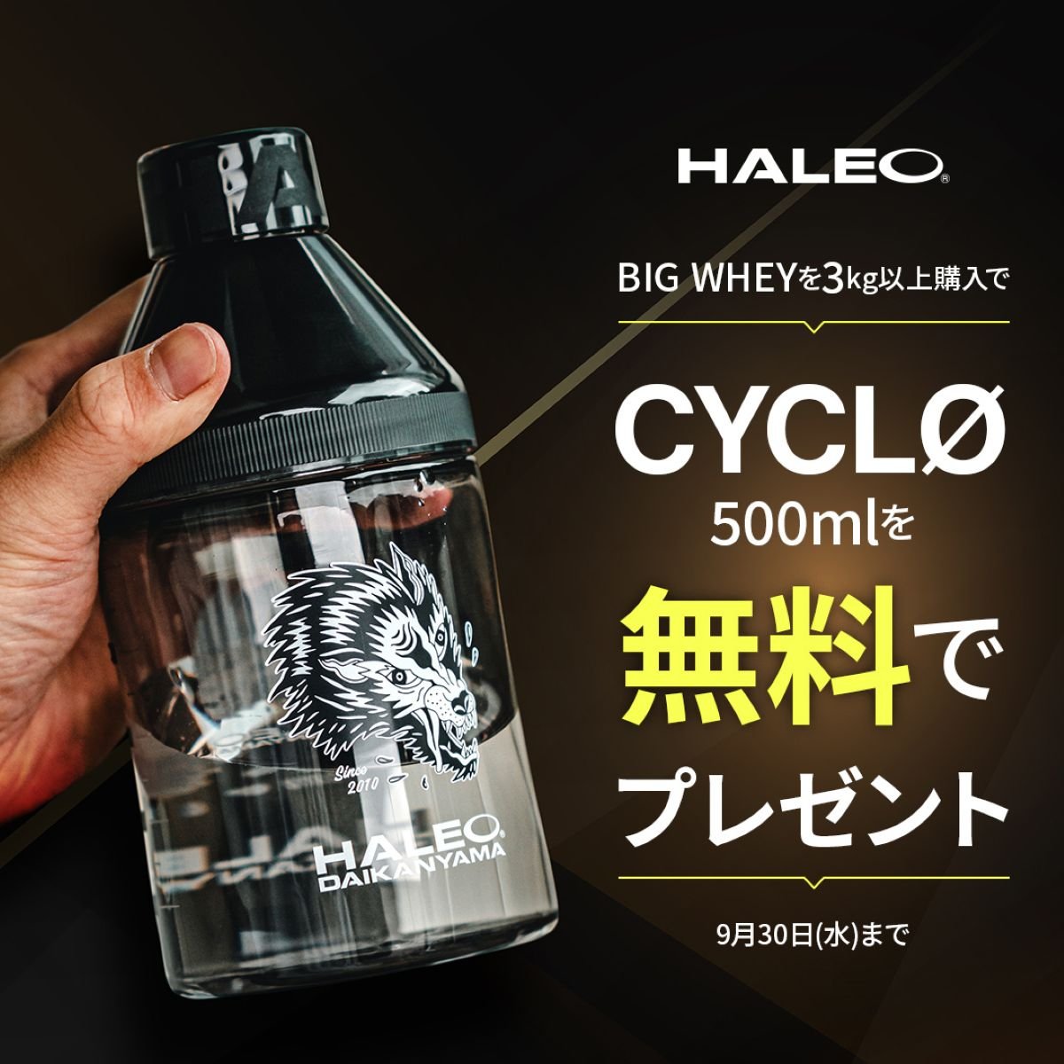 BIG WHEY2.0 - HALEO×バルクスポーツ公式ストア