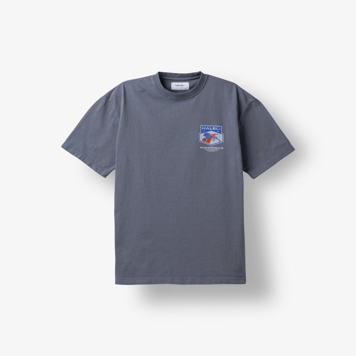 【CMテスト(※4/21 正午削除)】HALEO SPORT TEE VINTAGE GRAY - HALEO×バルクスポーツ公式ストア