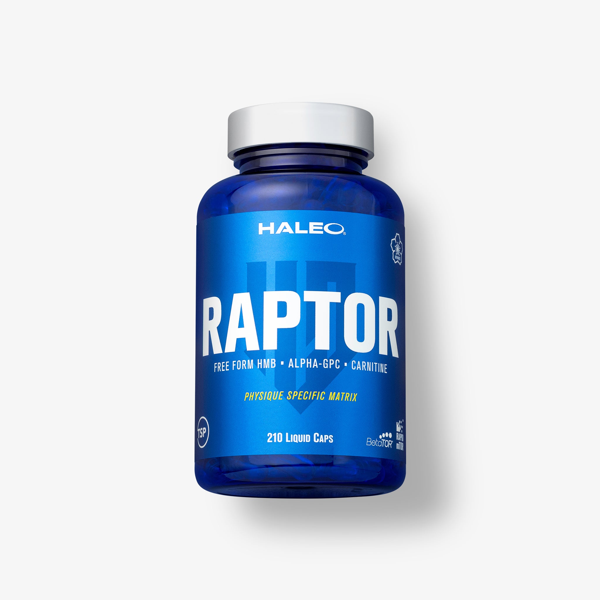 RAPTOR