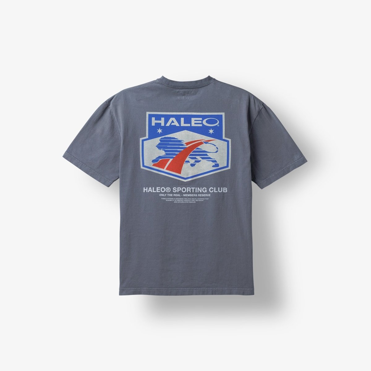 HALEO SPORT TEE VINTAGE GRAY