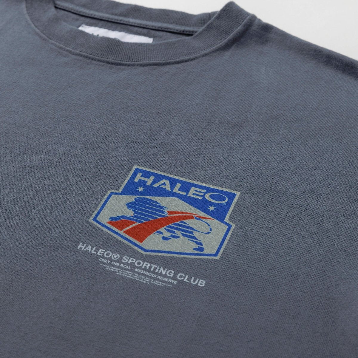 【CMテスト（※4/21 正午削除）】HALEO SPORT TEE VINTAGE GRAY - HALEO×バルクスポーツ公式ストア
