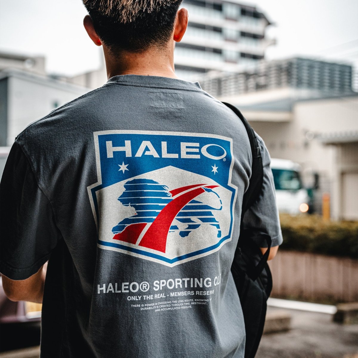 HALEO SPORT TEE VINTAGE GRAY