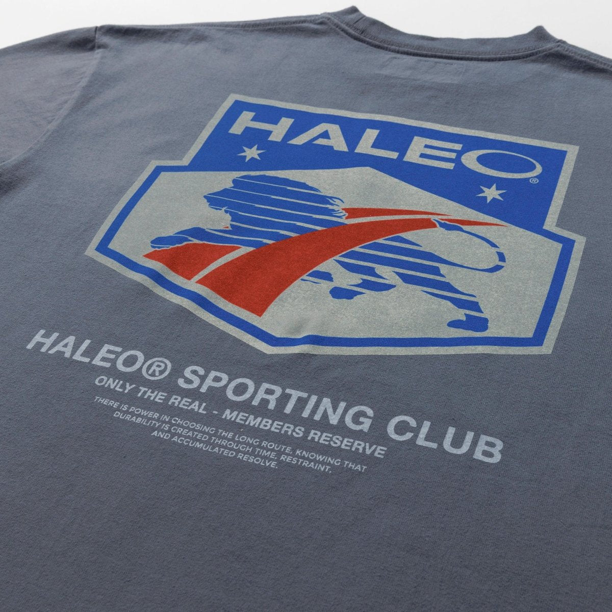 【CMテスト（※4/21 正午削除）】HALEO SPORT TEE VINTAGE GRAY - HALEO×バルクスポーツ公式ストア