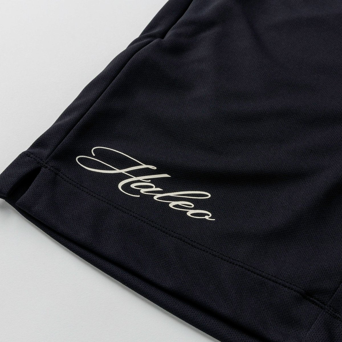 HALEO CHAMPIONS MESH SHORTS BLACK - HALEO×バルクスポーツ公式ストア