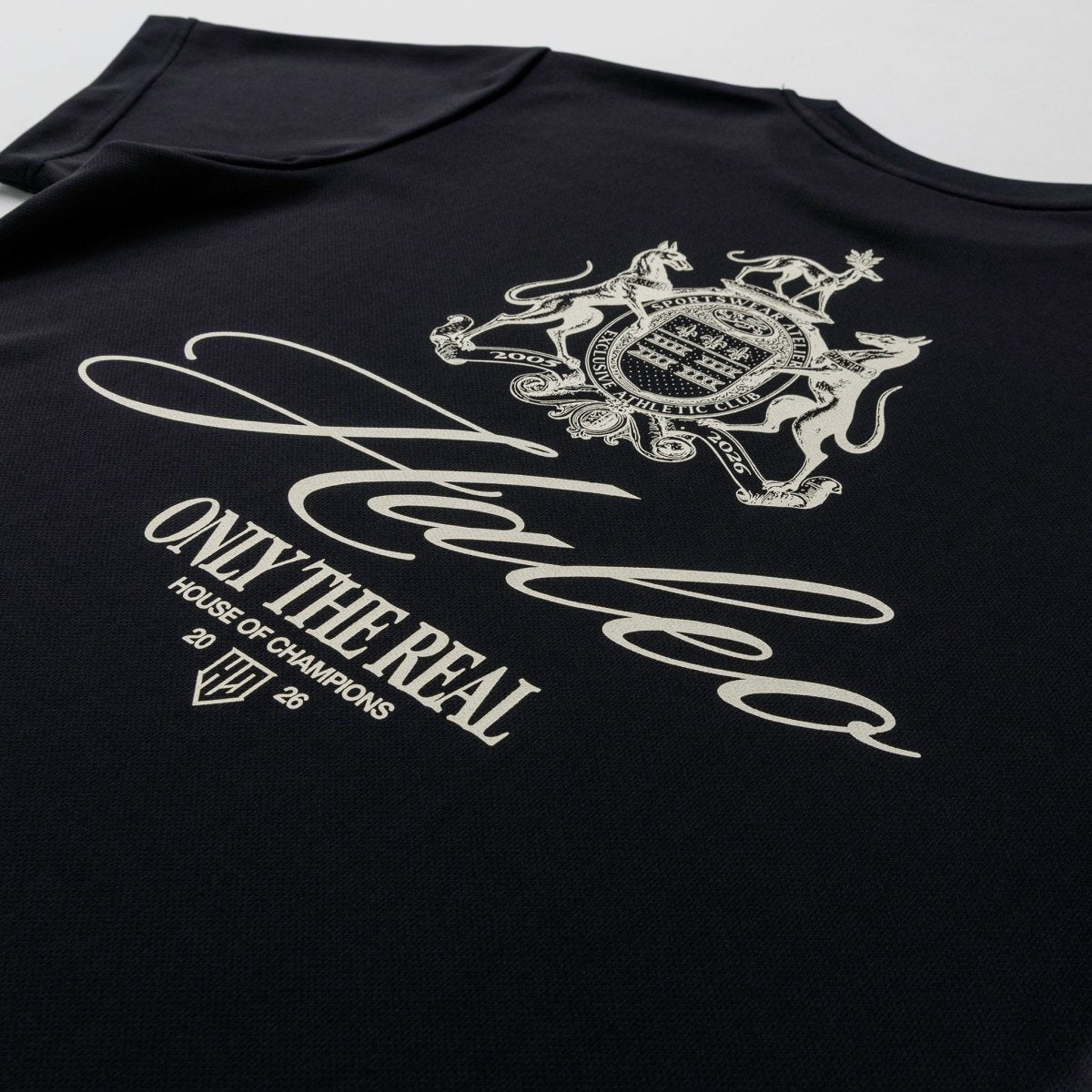 HALEO CHAMPIONS MESH TEE BLACK - HALEO×バルクスポーツ公式ストア