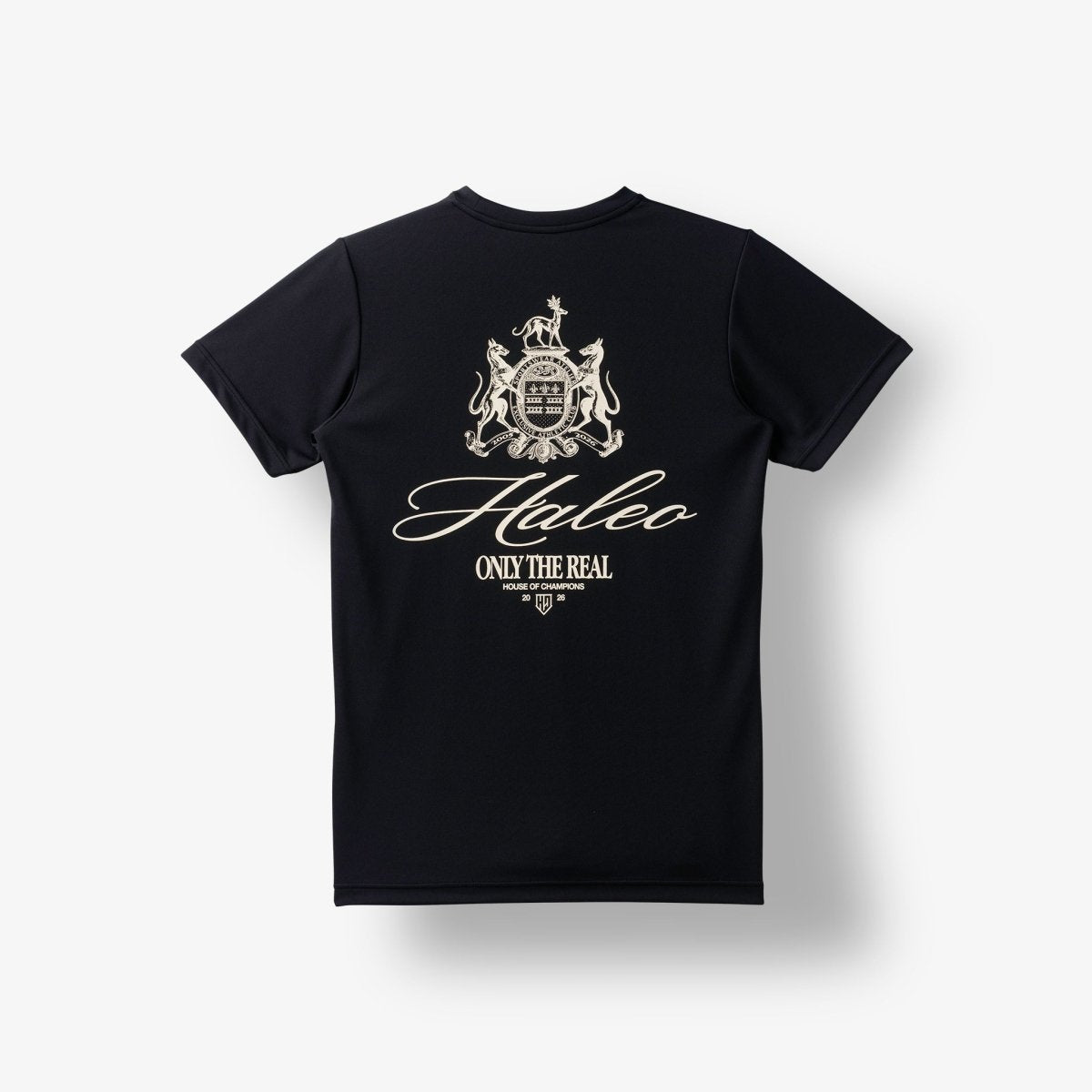 HALEO CHAMPIONS MESH TEE BLACK - HALEO×バルクスポーツ公式ストア