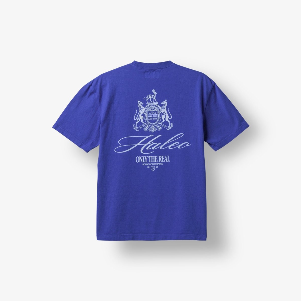 Hayle バレーボールシャツ Lサイズ 青 HALEO CHAMPIONS TEE BLUE