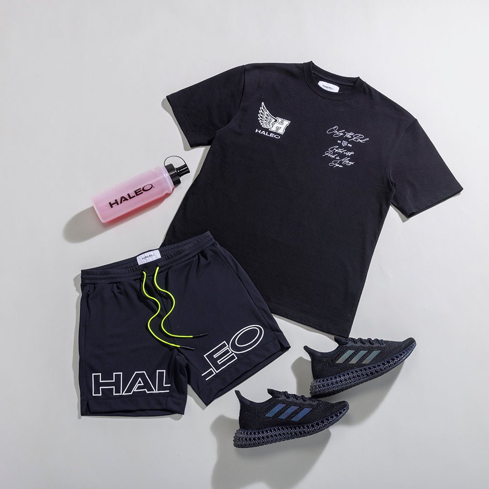 HALEO WINGS TEE BLACK - HALEO×バルクスポーツ公式ストア