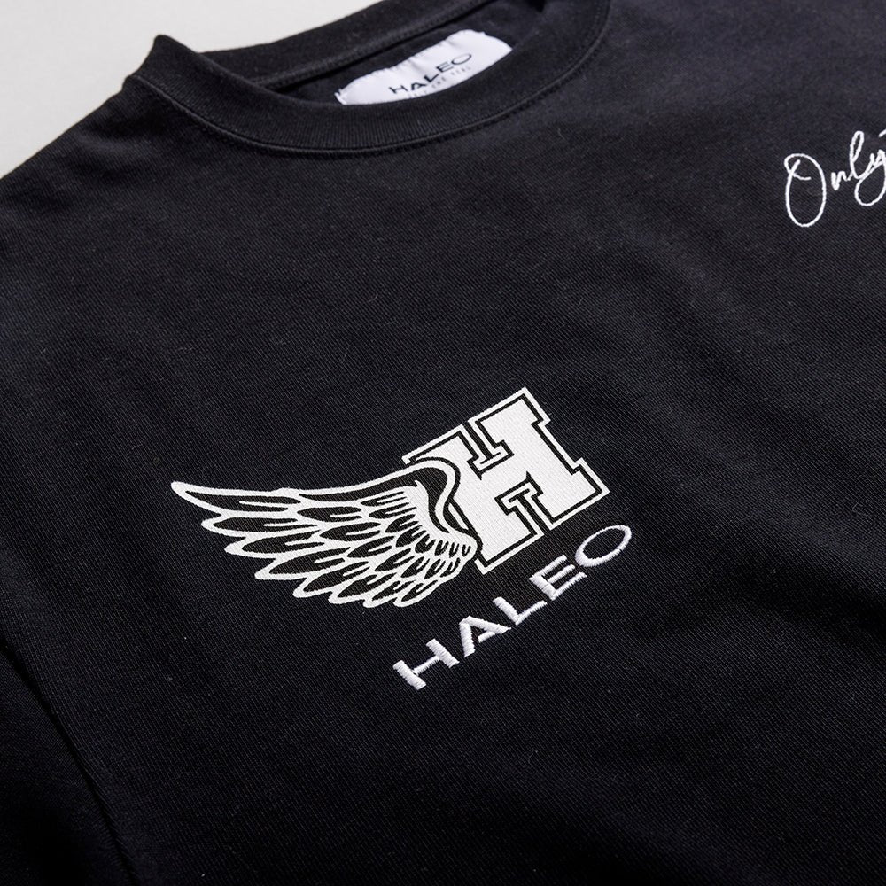 HALEO WINGS TEE BLACK - HALEO×バルクスポーツ公式ストア