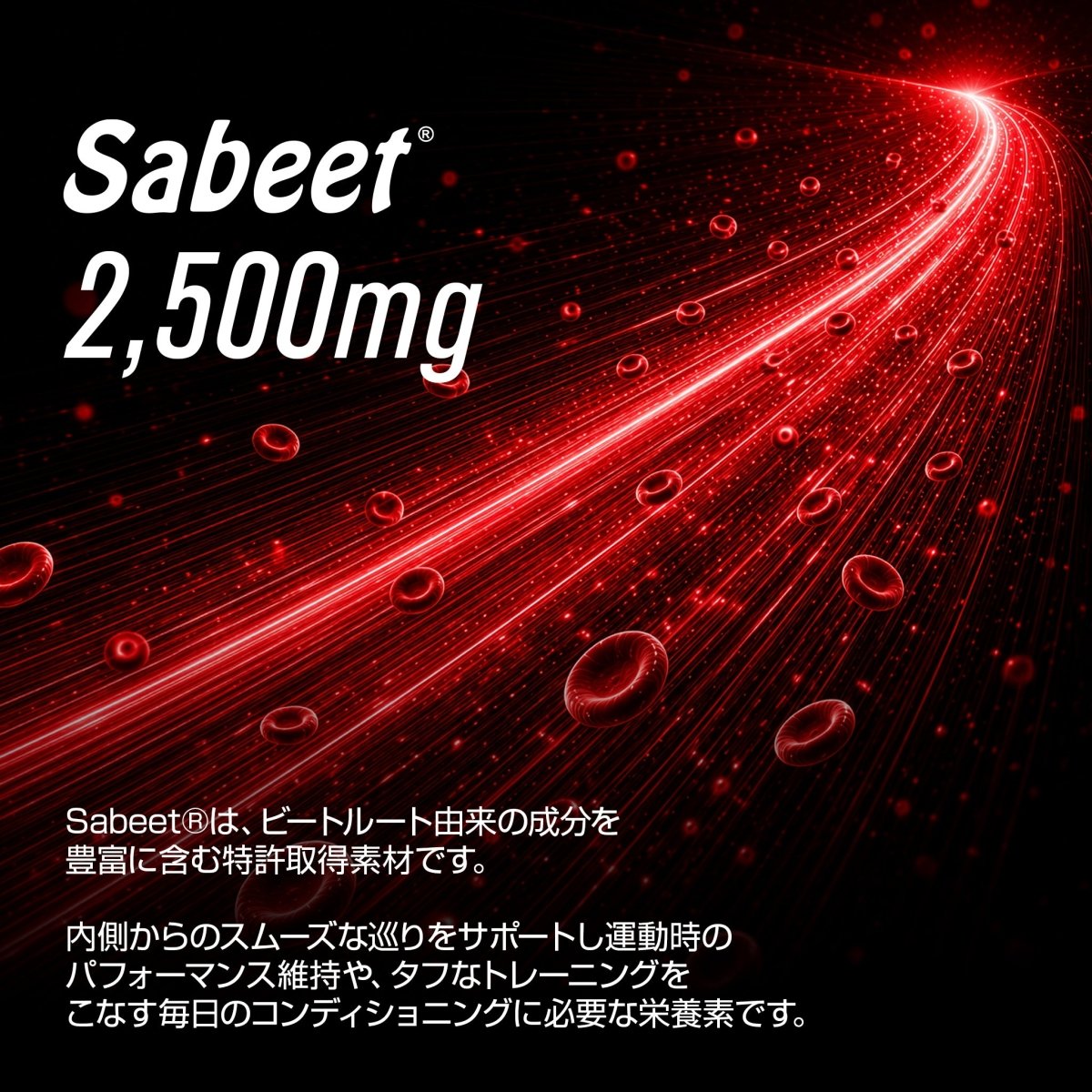 HYPER DRIVE EAA - HALEO×バルクスポーツ公式ストア